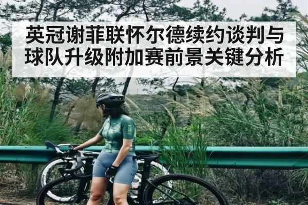 英冠谢菲联怀尔德续约谈判与球队升级附加赛前景关键分析